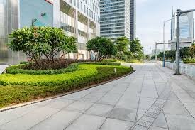 Road Image 6