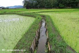 Water Supply